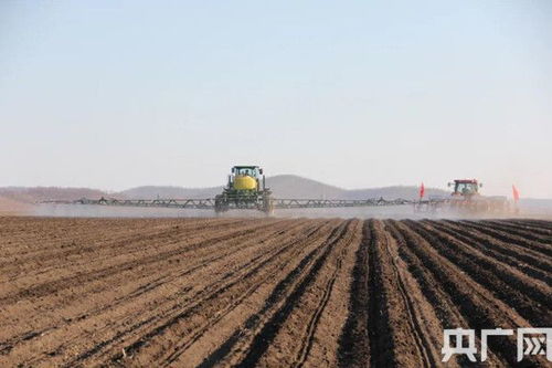 內蒙古糧食播種面積突破8000萬畝 種子生產筑牢現代農業根基