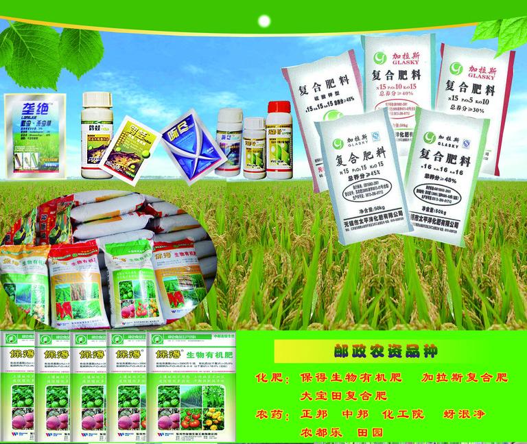 從江縣農(nóng)牧公司江西橋頭圖書館門面農(nóng)作物種子生產(chǎn) 堅(jiān)守鄉(xiāng)土，孕育豐收希望